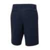 Ping Ari Men's Shorts