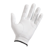 Ping Tour Glove 25